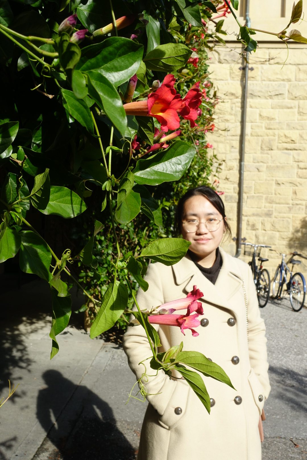 Xiaoting Yang