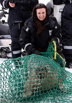 michelle-with-ringed-seal-504553-2